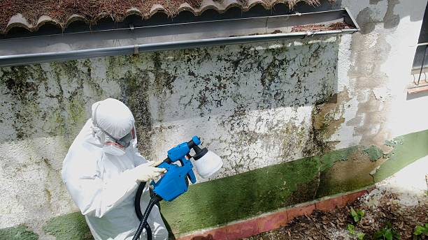 Trusted Mold Testing service in Fishing Creek, MD - Cheap Mold Removal